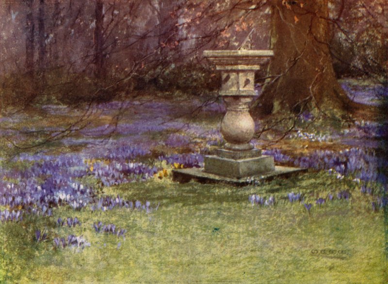 Scottish Gardens: Whitehouse (farve litho) af Mary Georgina Wade Wilson