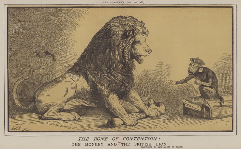Stridsbenet! eller, Aben og den britiske løve (farve litho) af Matthew