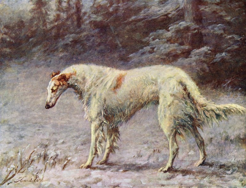 Mester Ivan Turgeneff af Maud Earl