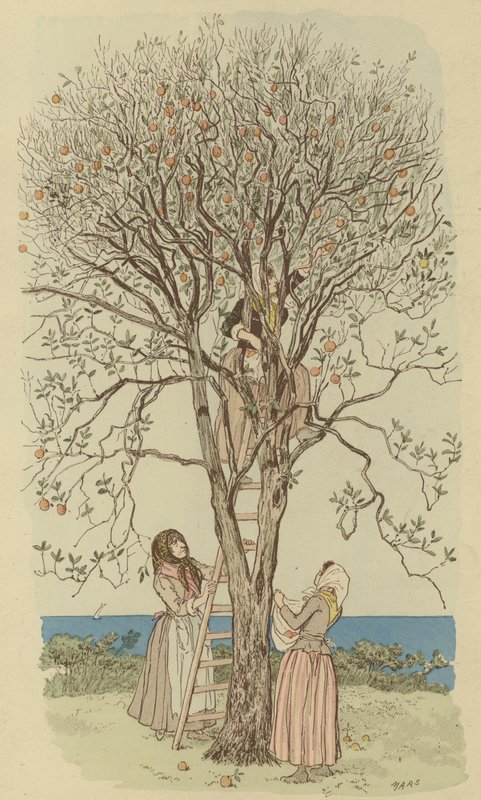 Plukke appelsiner ved Middelhavet (farve litho) af Maurice Charles Mathieu Bonvoisin