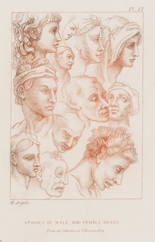 Undersøgelser af mandlige og kvindelige hoveder (ætsning) af Michelangelo (after) Buonarroti