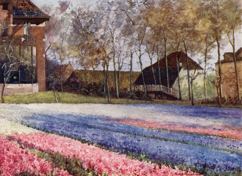En hollandsk have om foråret (farve litho) af Mima Nixon