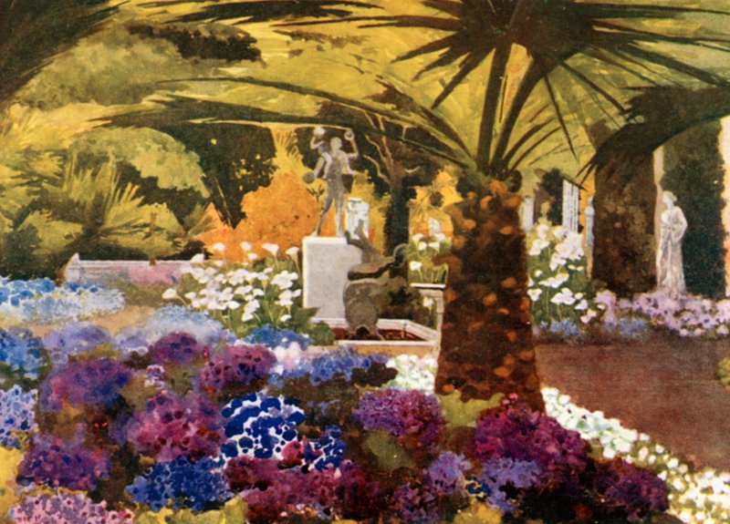 Cinerarias, Achilleion, Korfu af Mima Nixon