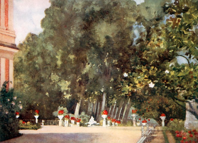 Magnolietræet, Aranjuez af Mima Nixon