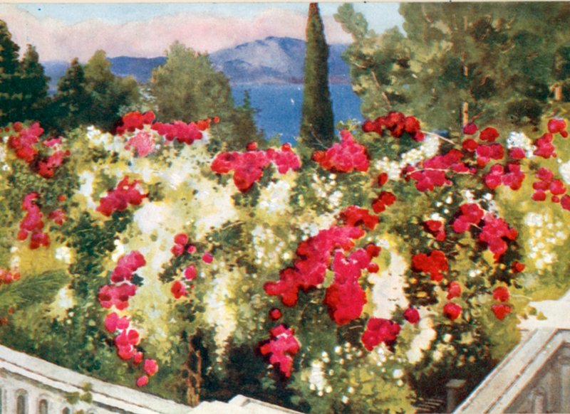 Rose Pergola, Achilleion, Korfu af Mima Nixon
