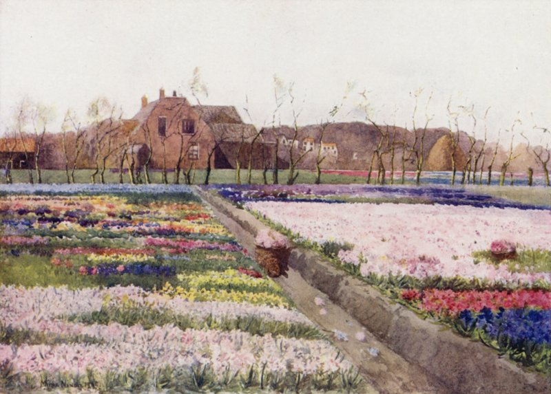 "Når foråret låser blomsterne op for at male den grinende jord" (farve litho) af Mima Nixon
