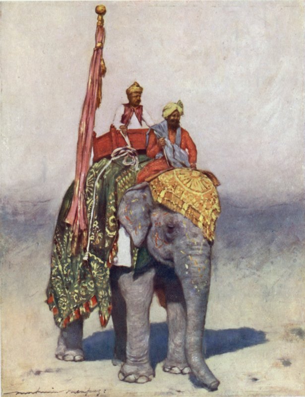 En elefant fra Jaipur af Mortimer Ludington Menpes