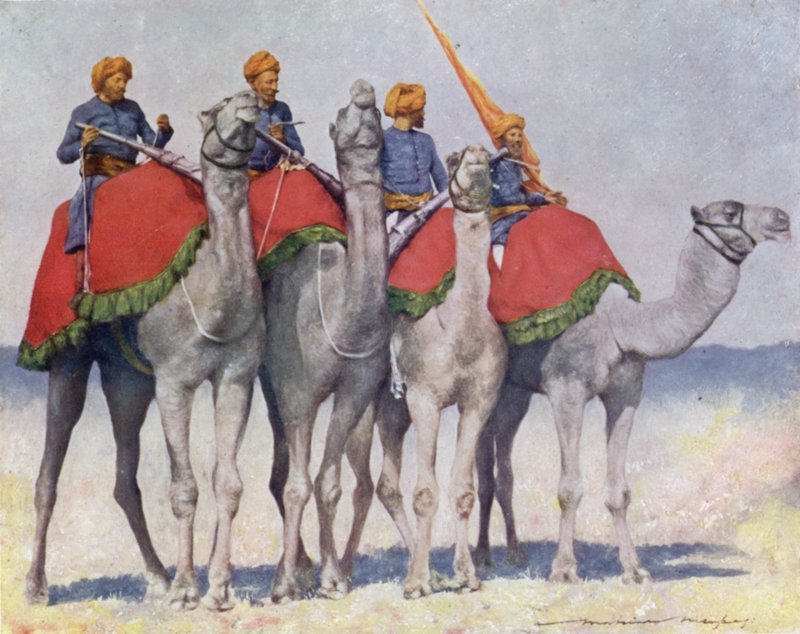 Camelry fra Alwar af Mortimer Ludington Menpes