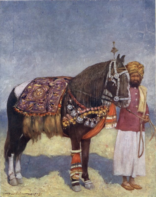 En hest fra Jodhpur (farve litho) af Mortimer Ludington Menpes