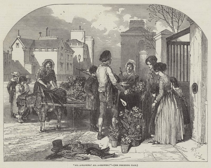 Alt A-Blowing! Alt A-voksende! af Myles Birket Foster