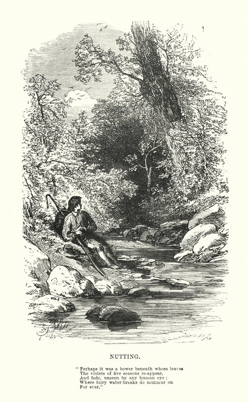 William Wordsworth: Nutting (gravering) af Myles Birket (after) Foster