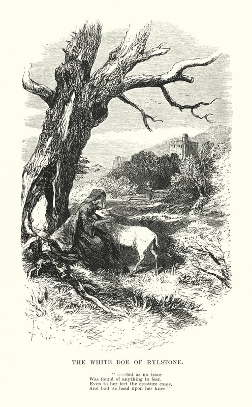 William Wordsworth: The White Doe of Rylstone (gravering) af Myles Birket (after) Foster