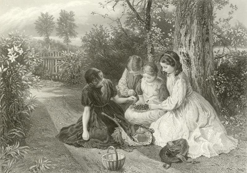 En fest af kirsebær af Myles Birket Foster