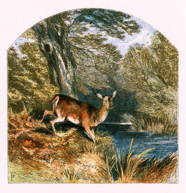 Illustration til 