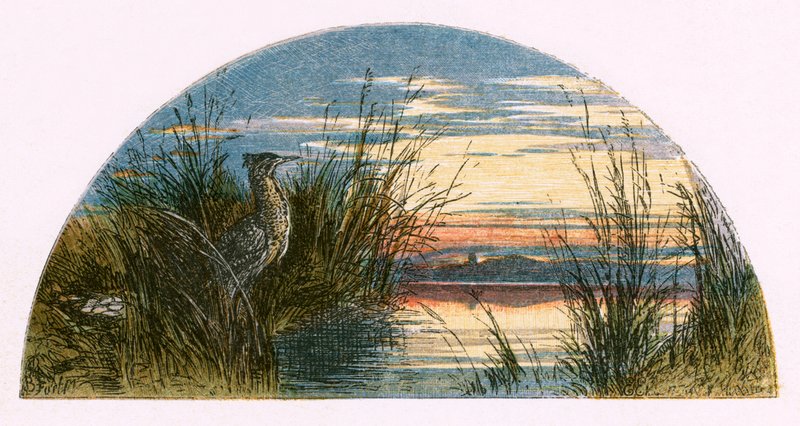 Illustration til "Den forladte landsby af Myles Birket Foster