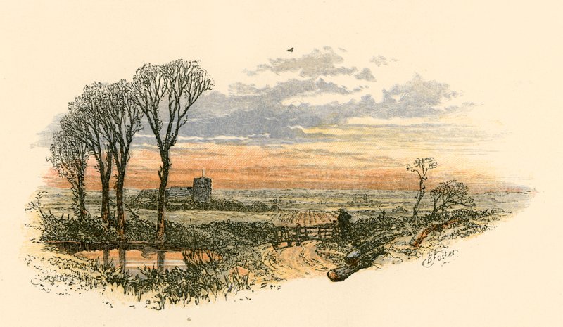 Søndag aftens gåtur af Myles Birket Foster