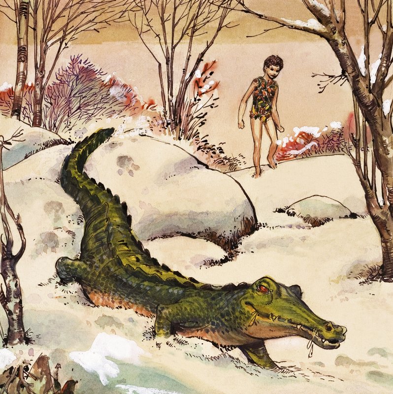 Peter follows the Crocodile, illustration fra 