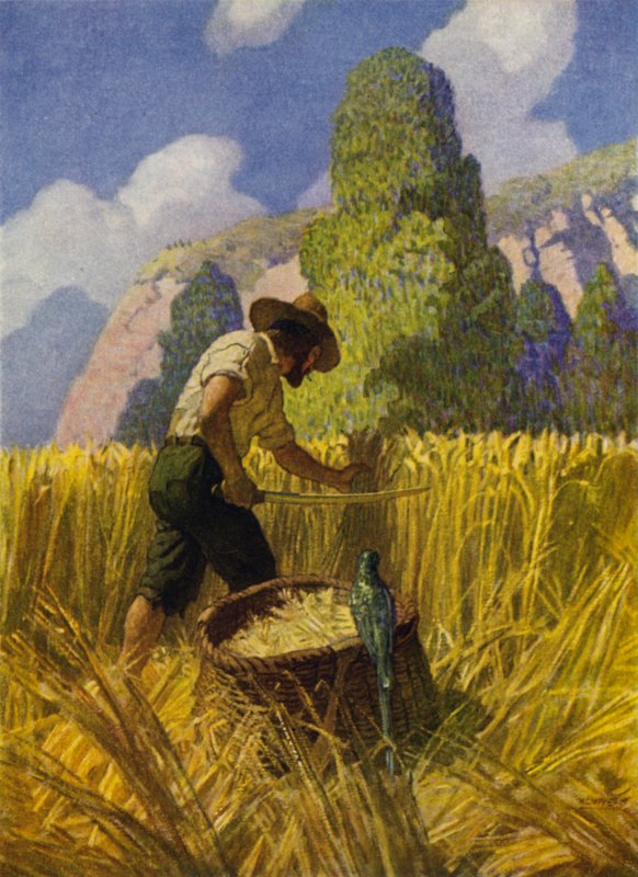 Illustration til Robinson Crusoe (farve litho) af Newell Convers (after) Wyeth