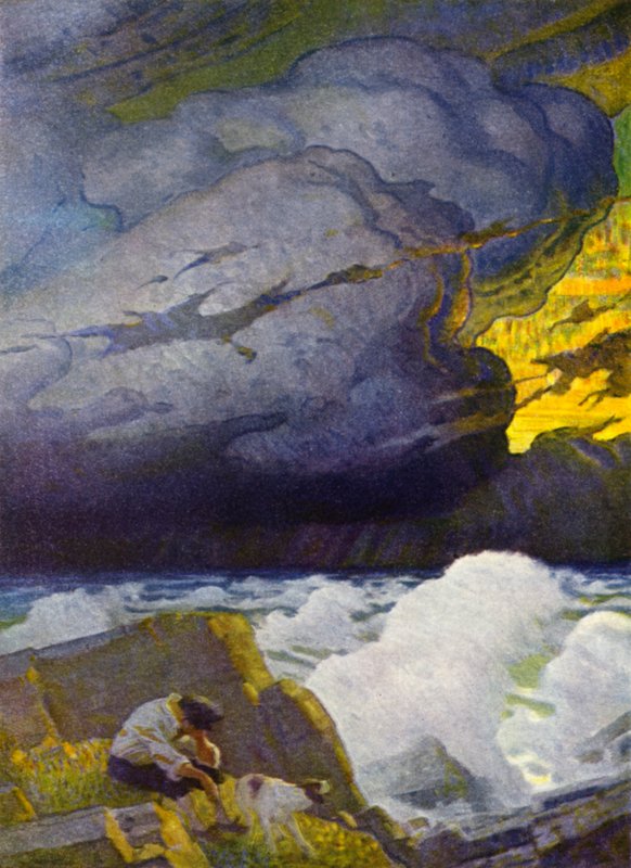 Illustration til Robinson Crusoe (farve litho) af Newell Convers (after) Wyeth