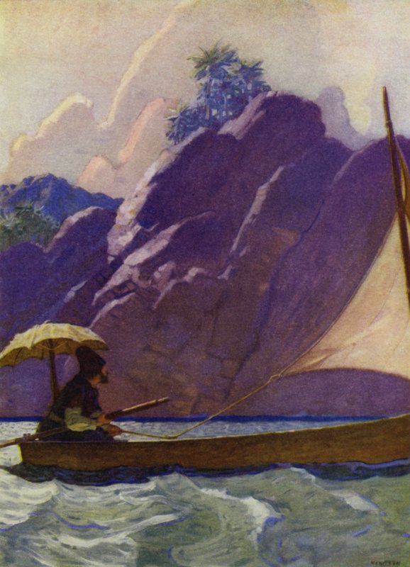 Illustration til Robinson Crusoe (farve litho) af Newell Convers (after) Wyeth