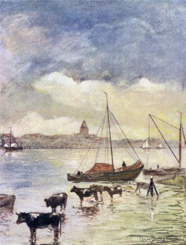 Floden Ysel af Nico Jungman