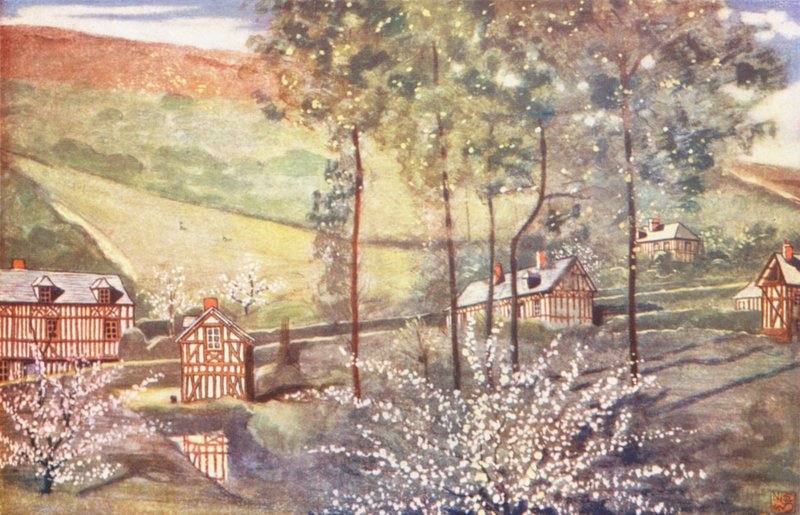 Kirsebærblomst (farvelitografi) af Nico Jungmann