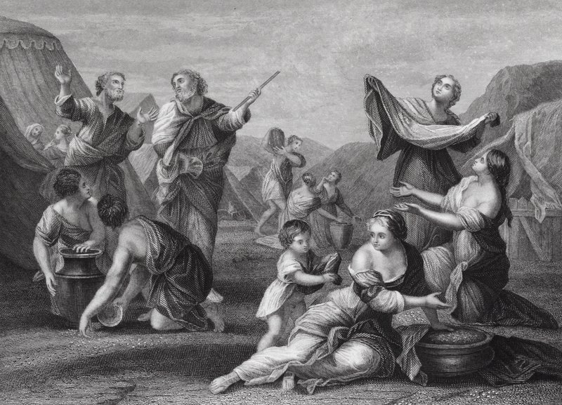 Mannaens fald, 2. Mosebog, kapitel 16, vers 14, 24 (gravering) af Nicolas (after) Poussin