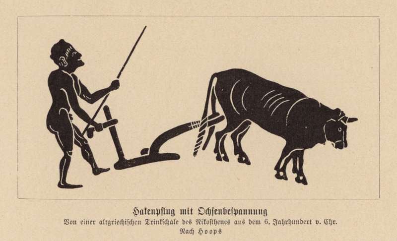 Oldgræsk oksetrukket plov (litografi) af Nikosthenes