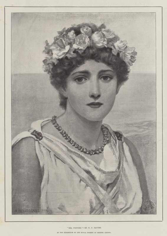 Havvalmuer af Norman Prescott Davies