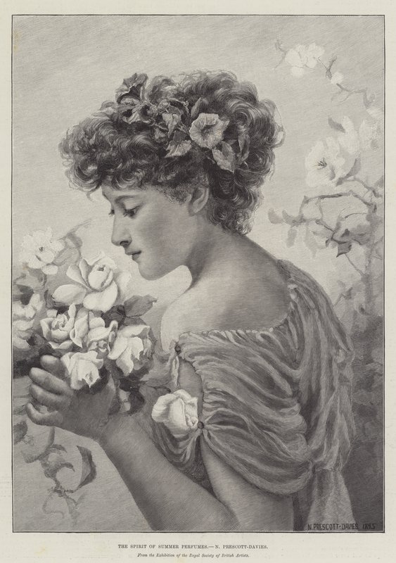 The Spirit of Summer Parfums af Norman Prescott Davies