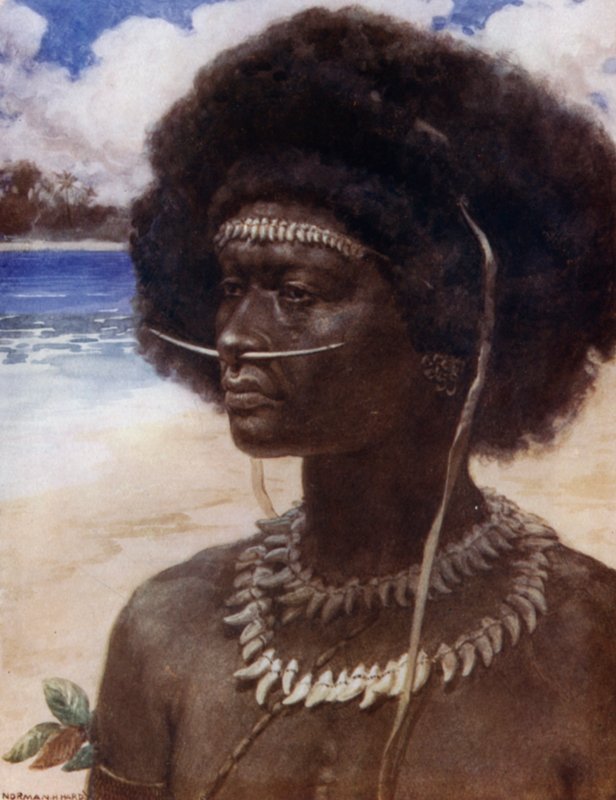 En New Guinea Dandy (farve litho) af Norman Hardy
