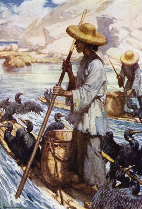 Kina: Fiskeri med skarver (farve litho) af Norman Hardy