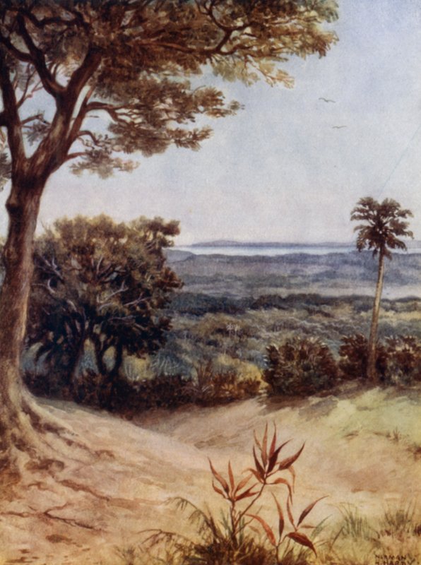 Havannah Harbour, Rathmoy, New Hebrides (farve litho) af Norman Hardy