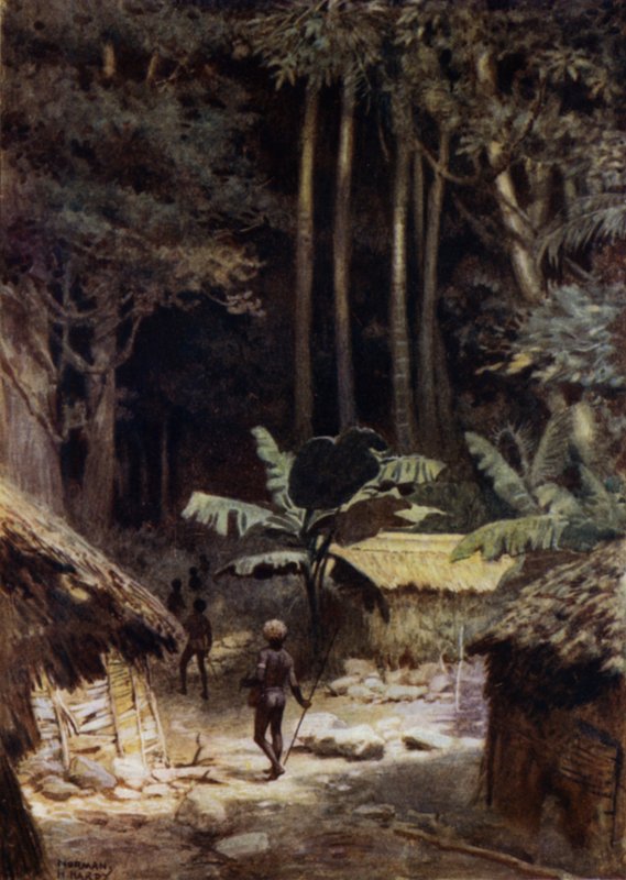 I udkanten af en urskov, Salomonøerne (farve litho) af Norman Hardy