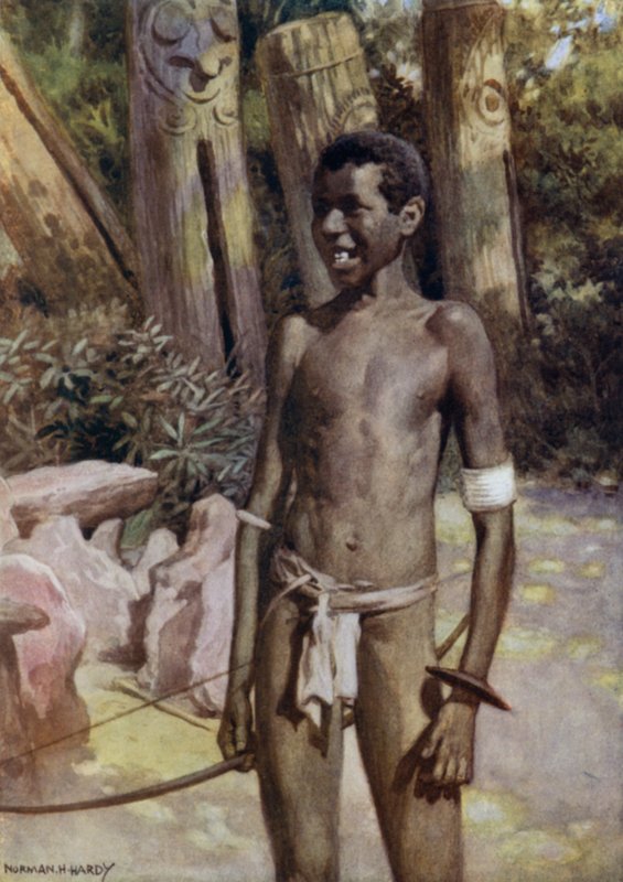 Kunstnervejledningen om Malekula, New Hebrides (farve litho) af Norman Hardy
