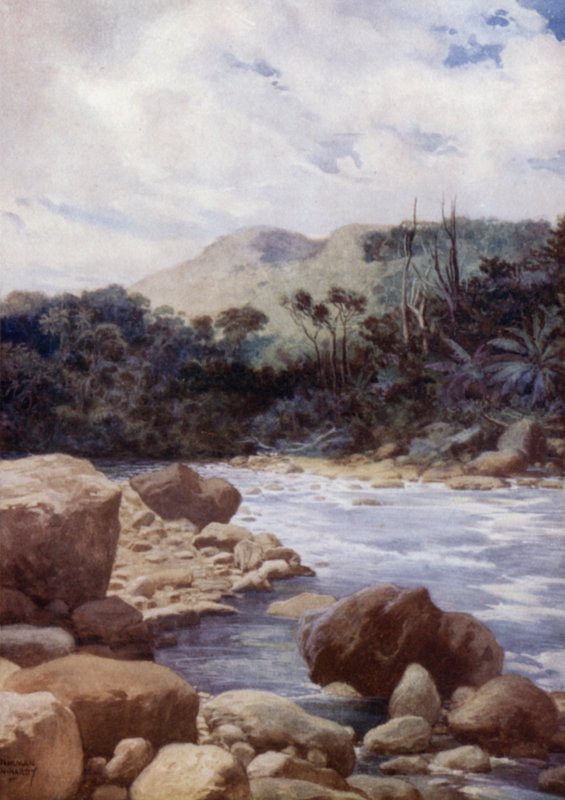 The Rapids, Williams River, Island of Eromanga, New Hebrides (farve litho) af Norman Hardy