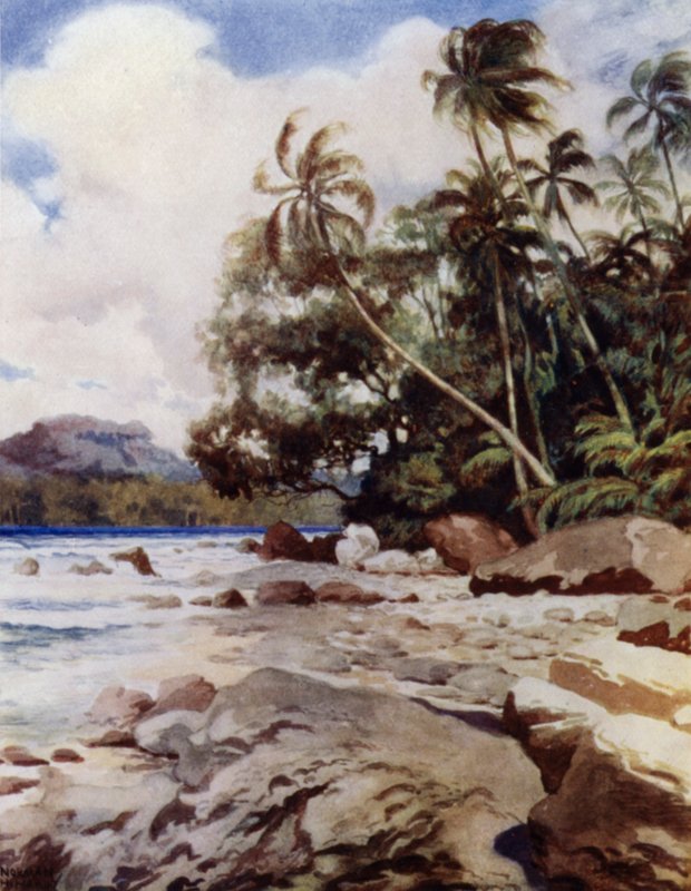 Revet nær Simbo, Salomonøerne (farve litho) af Norman Hardy
