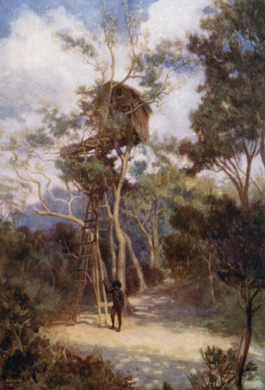 Træhus i Britisk Ny Guinea (farve litho) af Norman Hardy