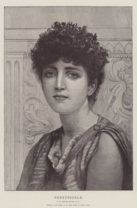Kaprifolie af Norman Prescott Davies