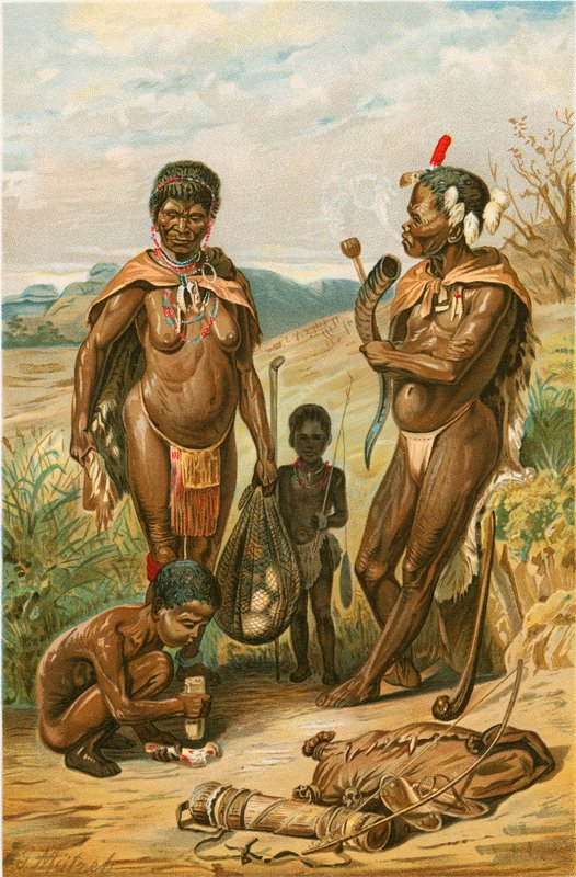 Bushman-familien af North American