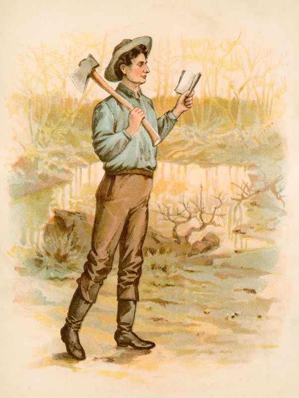 Lincoln, skinneopdeler af North American