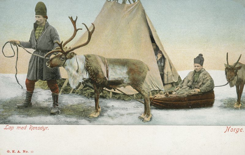 Laplandere med rensdyr, Norge (farvefoto) af Norwegian Photographer