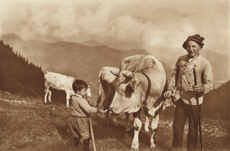 På Alpen af Otto Ballerstedt