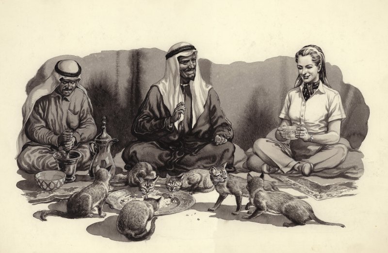 En arabisk mand fodrer sine katte (gouache på papir) af Pat (1907-95) Nicolle
