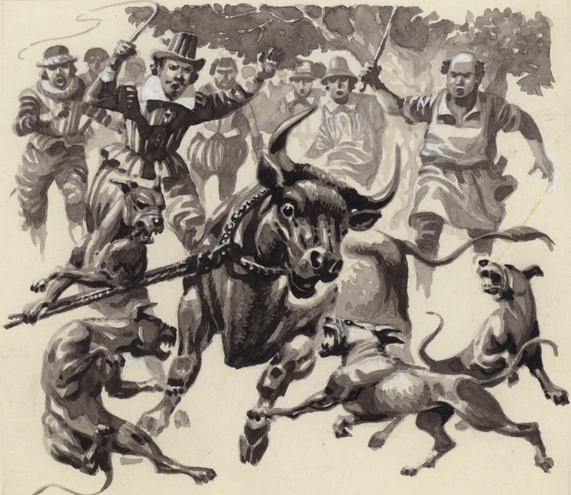 Bull baiting (gouache på papir) af Pat (1907 95) Nicolle