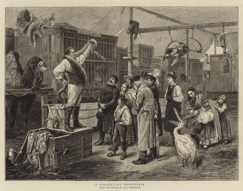 Et omrejsende Menageri af Paul Friedrich Meyerheim