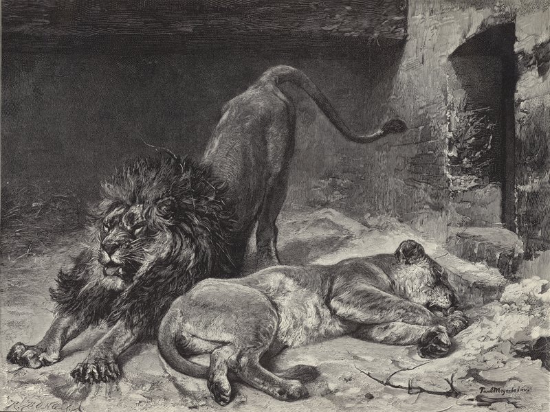Løvens opvågning af Paul Friedrich Meyerheim