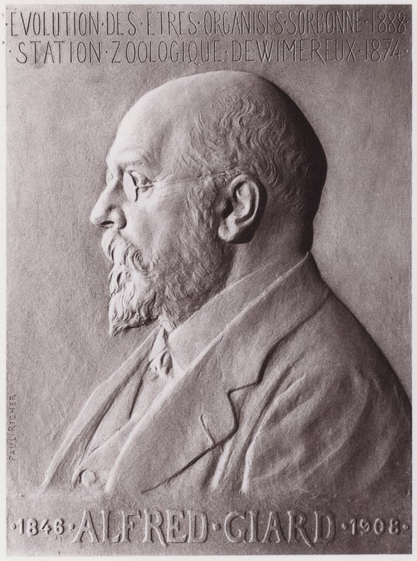 Alfred Giard (1846-1908), zoolog, portræt (litho) af Paul Marie Louis Pierre Richer
