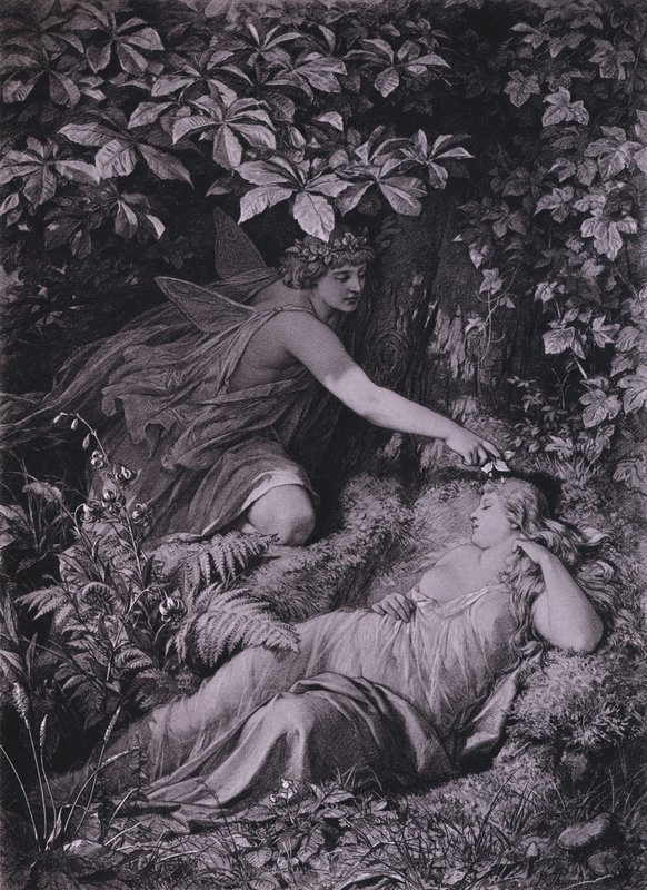 Scene fra Shakespeares A Midsummer Night