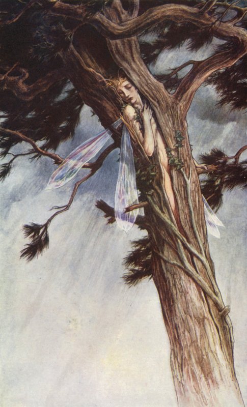 The Tempest af William Shakespeare, Act I, Scene 2 (farve litho) af Paul Vincent Woodroffe